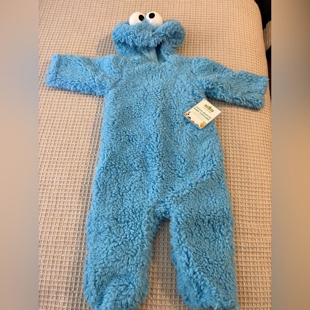 Adorable Pottery Barn Cookie Monster Costume